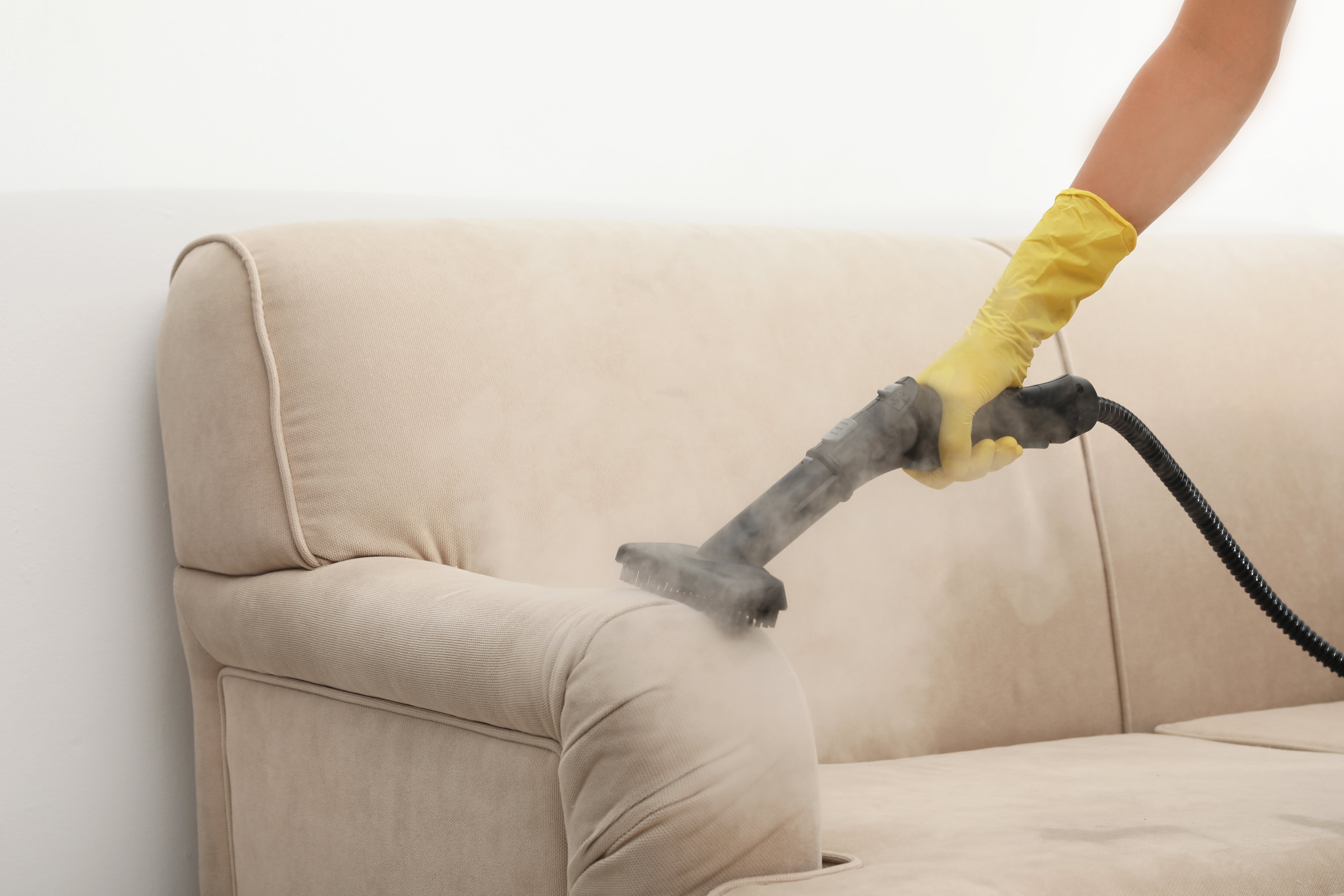 hot to steam clean sofa bed urine stain