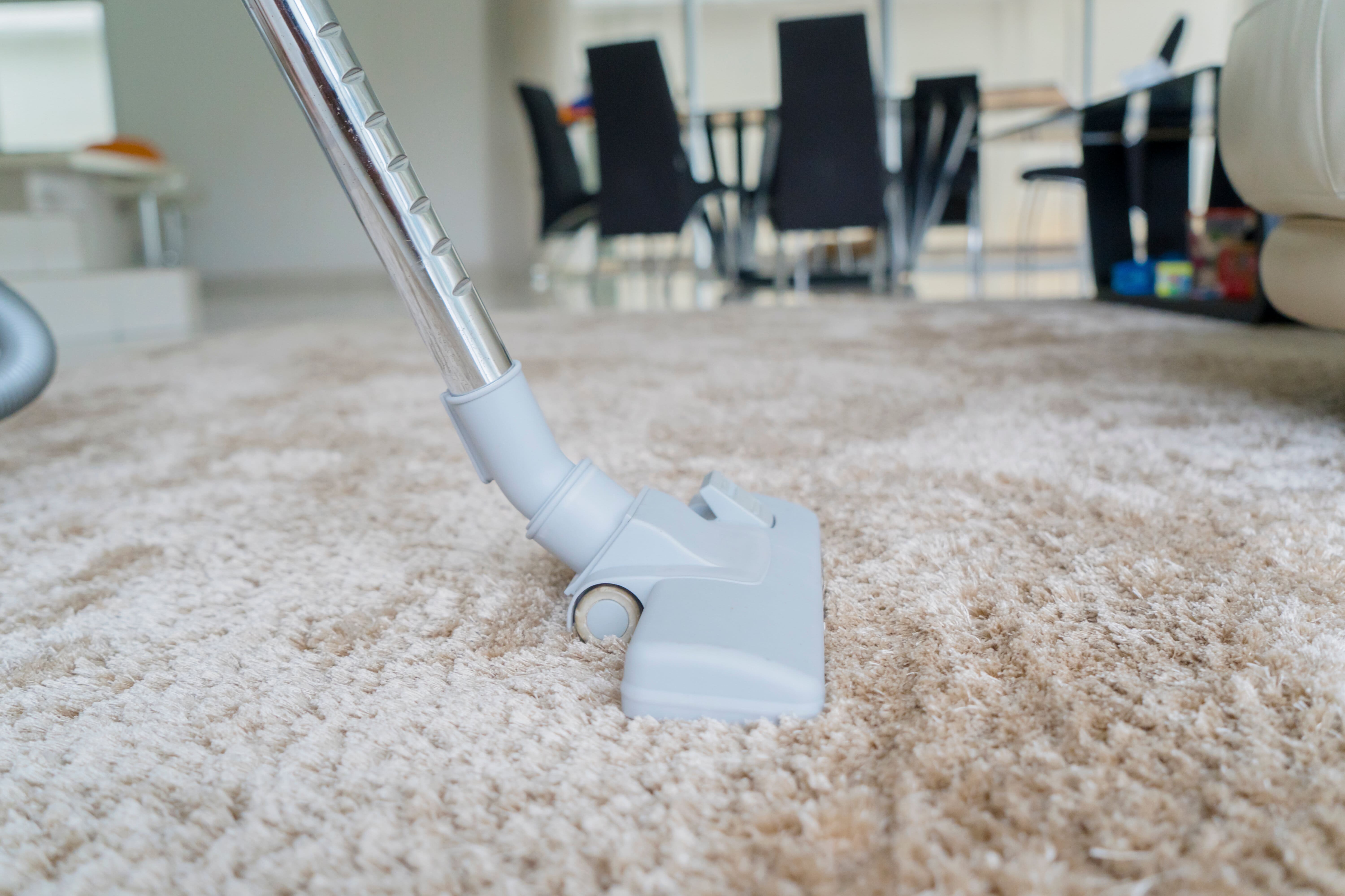 5 Nasty Truth About Your Office Carpet